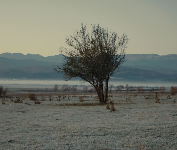 NINA ROZA DE GENEVIÈVE DULUDE-DE CELLES OUVRIRA LA 44E ÉDITION DES RVQC